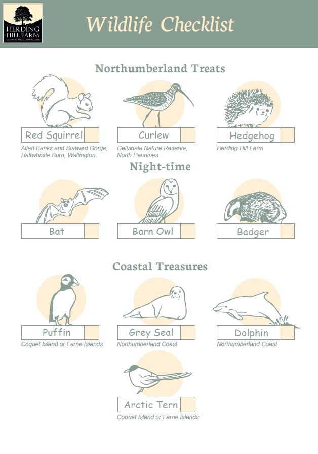 Wildlife Spotting Checklist